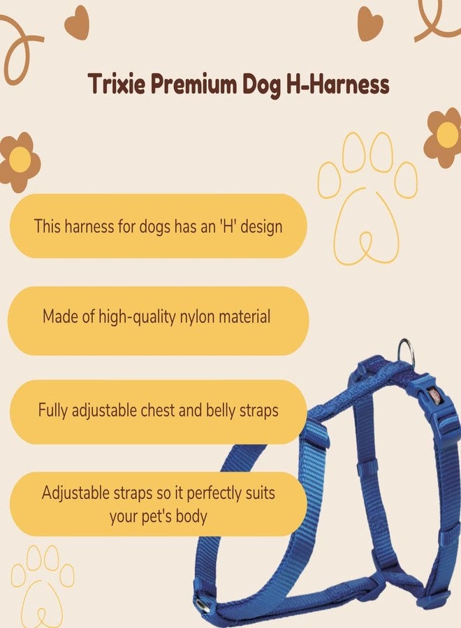 Trixie Premium H-Harness Belt for Dogs, Stylish Design, Adjustable Webbing Tape, Strain Relief, Lightweight & Adjustable Straps (S-M, Royal Blue) - Image 5